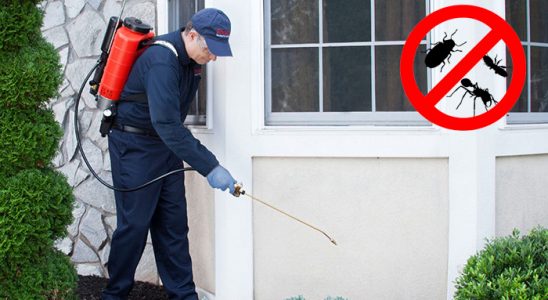 Polatlı Pire İlaçlama böcek ilaçlama ve haşere kontrolü — ilaclama-tr.com